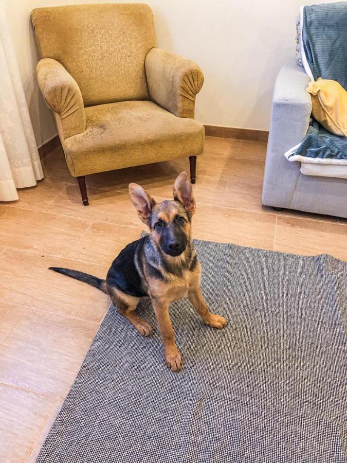 Willa Casa Da Viela Arouca Zewnętrze zdjęcie