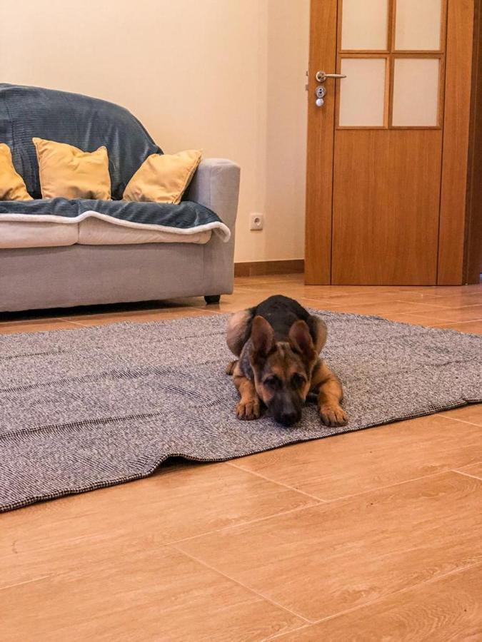 Willa Casa Da Viela Arouca Zewnętrze zdjęcie